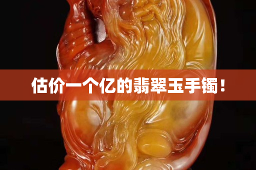 估價一個億的翡翠玉手鐲！