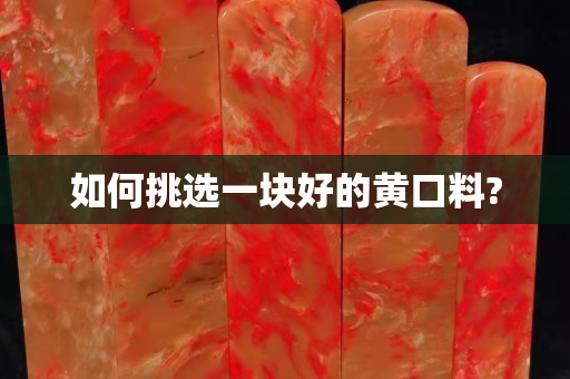 如何挑選一塊好的黃口料?