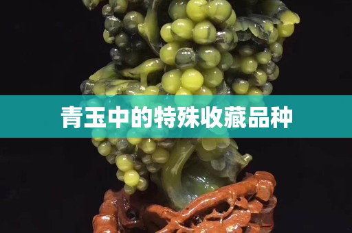 青玉中的特殊收藏品種