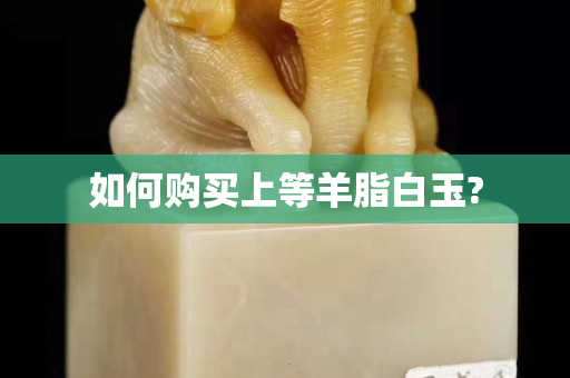 如何購買上等羊脂白玉?