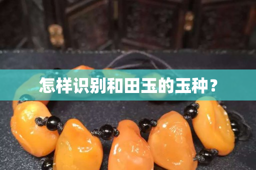怎樣識別和田玉的玉種？
