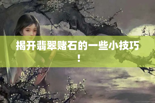 揭開翡翠賭石的一些小技巧！