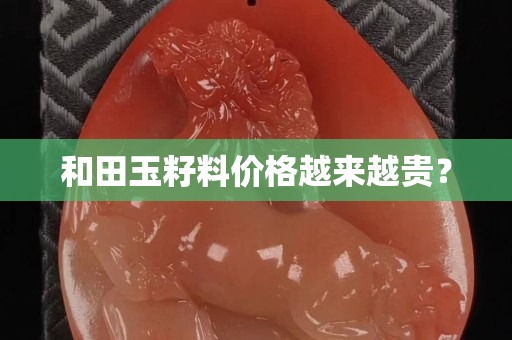 和田玉籽料價格越來越貴？