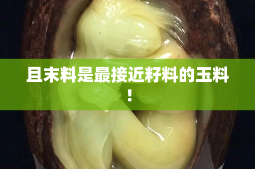 且末料是最接近籽料的玉料！