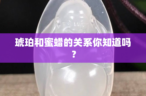 琥珀和蜜蠟的關(guān)系你知道嗎？