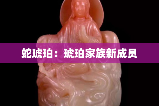 蛇琥珀：琥珀家族新成員