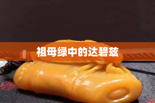 祖母綠中的達碧茲