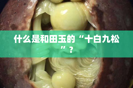 什么是和田玉的“十白九松”?