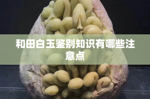 和田白玉鑒別知識有哪些注意點(diǎn)