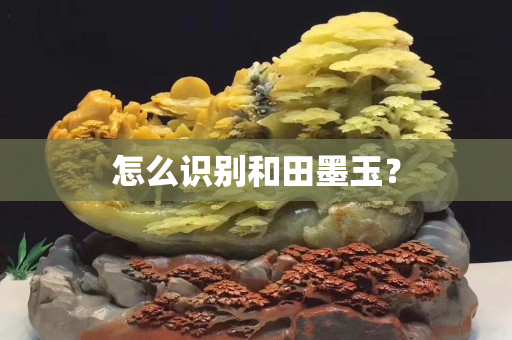 怎么識別和田墨玉？