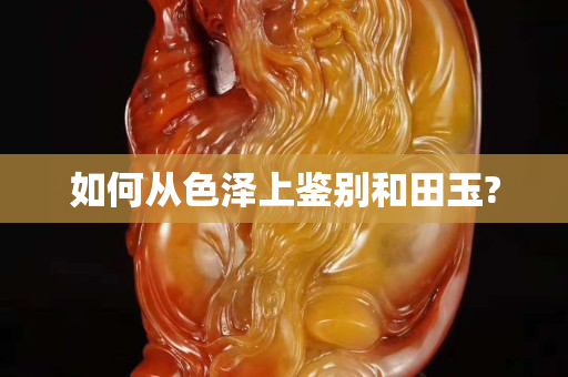 如何從色澤上鑒別和田玉?