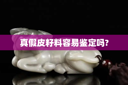 真假皮籽料容易鑒定嗎?