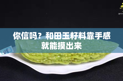你信嗎？和田玉籽料靠手感就能摸出來