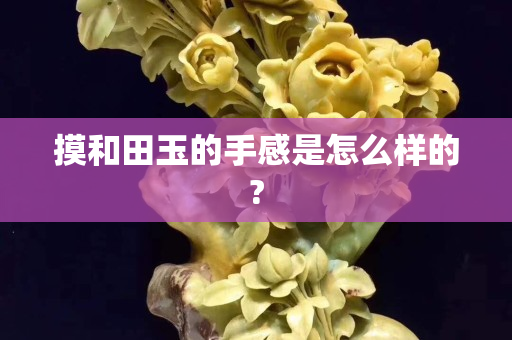 摸和田玉的手感是怎么樣的?