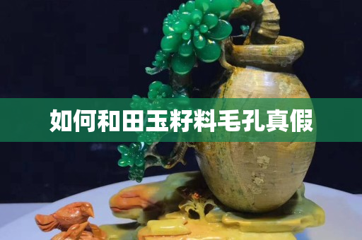 如何和田玉籽料毛孔真假