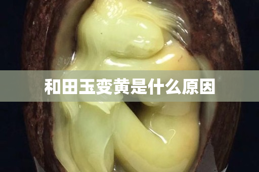 和田玉變黃是什么原因
