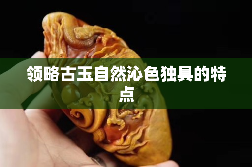 領略古玉自然沁色獨具的特點