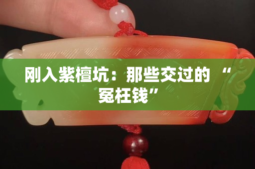 剛入紫檀坑：那些交過的 “冤枉錢”