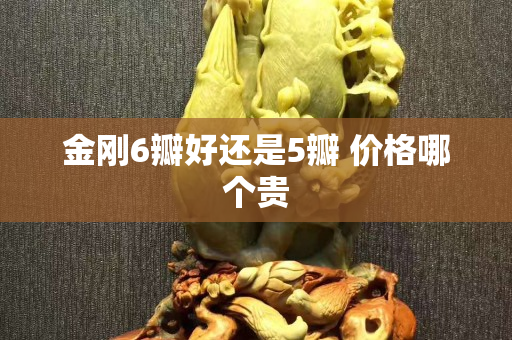 金剛6瓣好還是5瓣 價(jià)格哪個(gè)貴