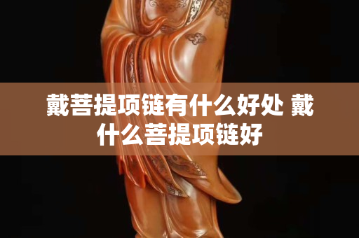 戴菩提項(xiàng)鏈有什么好處 戴什么菩提項(xiàng)鏈好