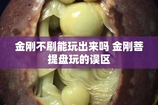 金剛不刷能玩出來嗎 金剛菩提盤玩的誤區