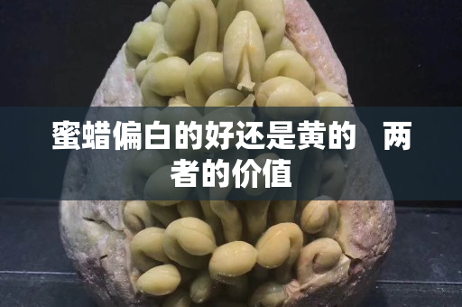 蜜蠟偏白的好還是黃的   兩者的價值