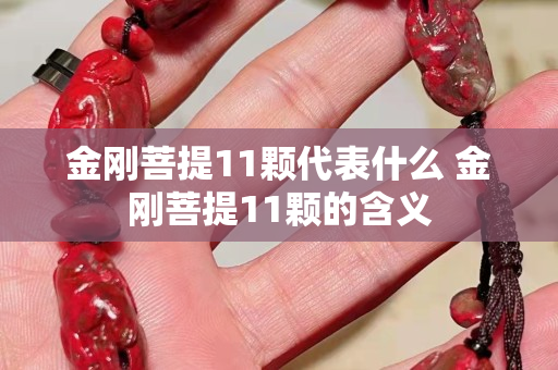 金剛菩提11顆代表什么 金剛菩提11顆的含義