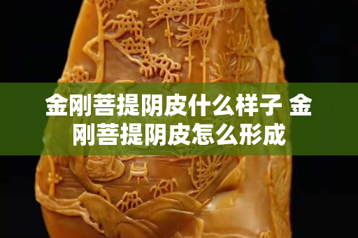 金剛菩提陰皮什么樣子 金剛菩提陰皮怎么形成