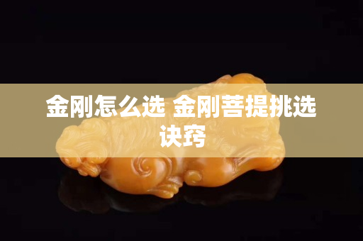 金剛怎么選 金剛菩提挑選訣竅