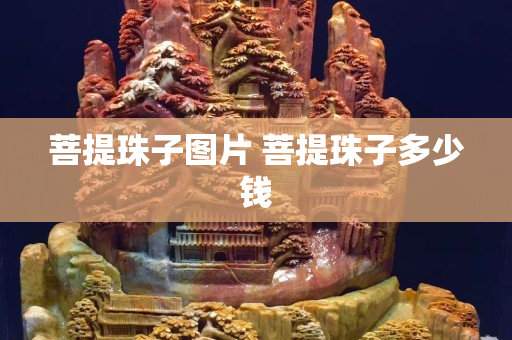 菩提珠子圖片 菩提珠子多少錢