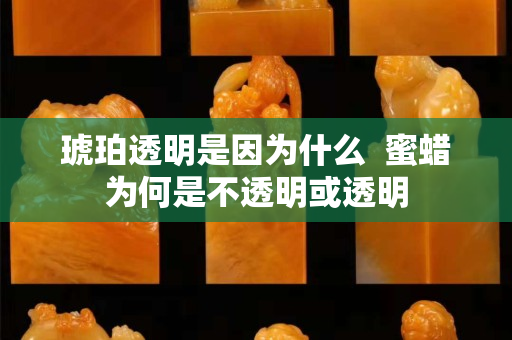 琥珀透明是因為什么  蜜蠟為何是不透明或透明