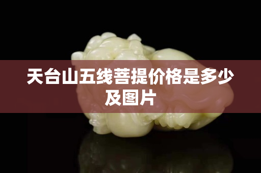 天臺山五線菩提價格是多少及圖片