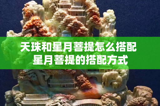 天珠和星月菩提怎么搭配 星月菩提的搭配方式