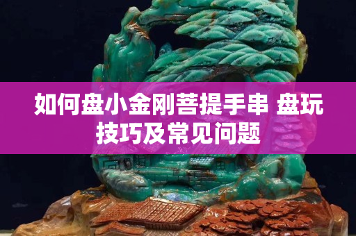 如何盤小金剛菩提手串 盤玩技巧及常見問題