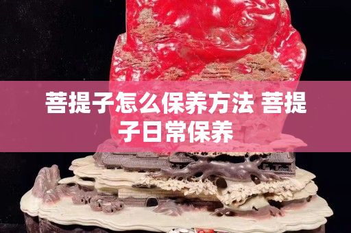 菩提子怎么保養(yǎng)方法 菩提子日常保養(yǎng)