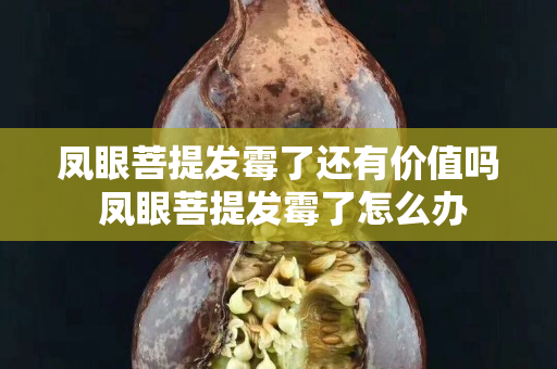 鳳眼菩提發霉了還有價值嗎 鳳眼菩提發霉了怎么辦