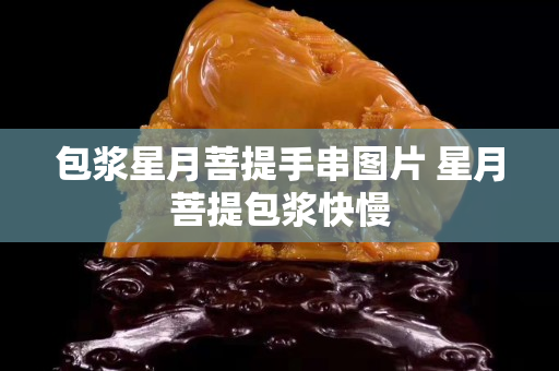 包漿星月菩提手串圖片 星月菩提包漿快慢