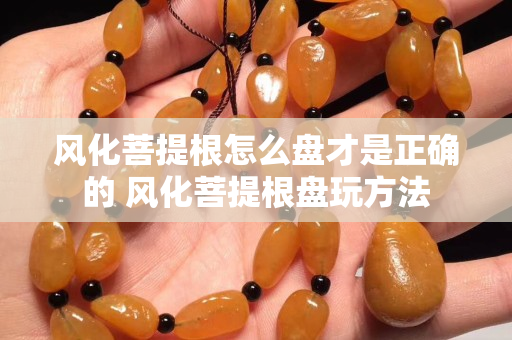風化菩提根怎么盤才是正確的 風化菩提根盤玩方法