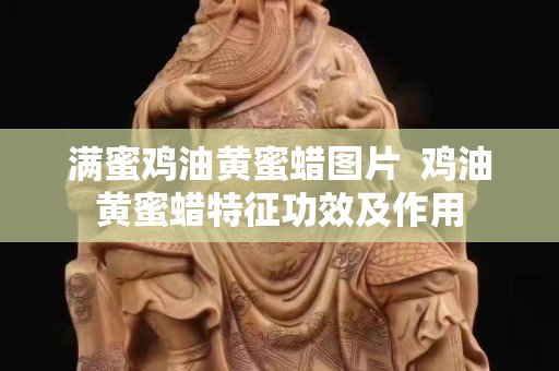 滿蜜雞油黃蜜蠟圖片  雞油黃蜜蠟特征功效及作用