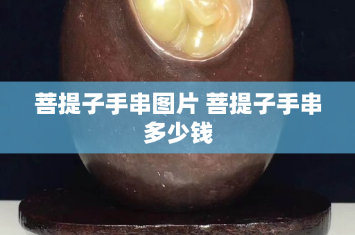 菩提子手串圖片 菩提子手串多少錢