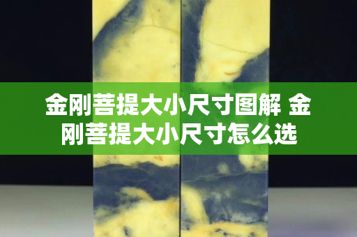 金剛菩提大小尺寸圖解 金剛菩提大小尺寸怎么選