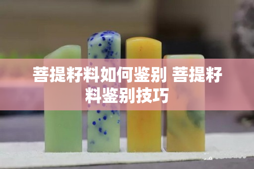 菩提籽料如何鑒別 菩提籽料鑒別技巧