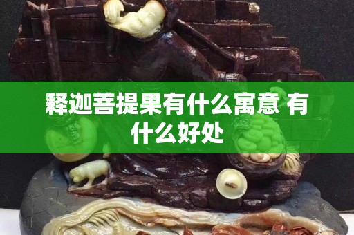 釋迦菩提果有什么寓意 有什么好處