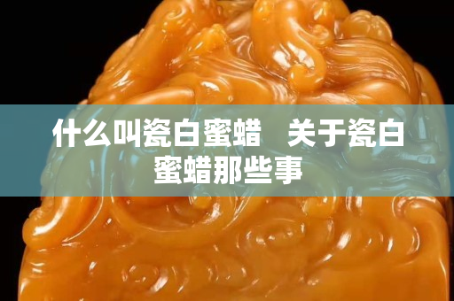 什么叫瓷白蜜蠟   關(guān)于瓷白蜜蠟?zāi)切┦? title=