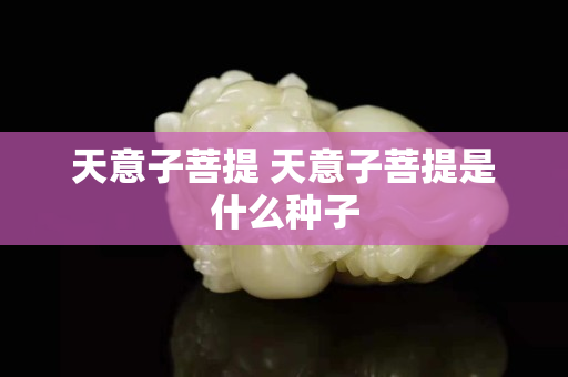 天意子菩提 天意子菩提是什么種子