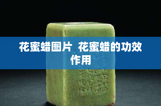 花蜜蠟圖片  花蜜蠟的功效作用