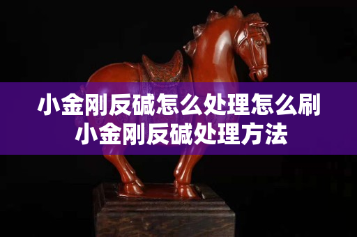 小金剛反堿怎么處理怎么刷 小金剛反堿處理方法
