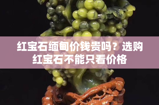 紅寶石緬甸價錢貴嗎？選購紅寶石不能只看價格