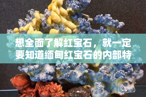想全面了解紅寶石，就一定要知道緬甸紅寶石的內部特征