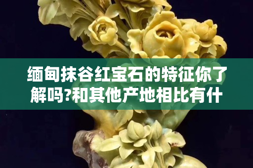 緬甸抹谷紅寶石的特征你了解嗎?和其他產地相比有什么優勢？